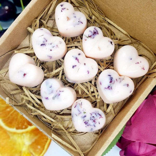 Assortmelts - Sample Box